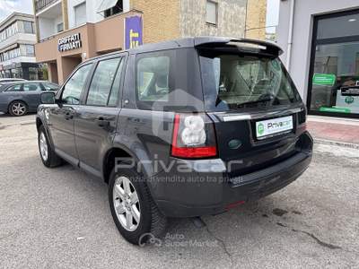Land Rover Freelander LAND ROVER Freelander 2.2 TD4 S.W. SE Grigio usata San Benedetto del Tronto