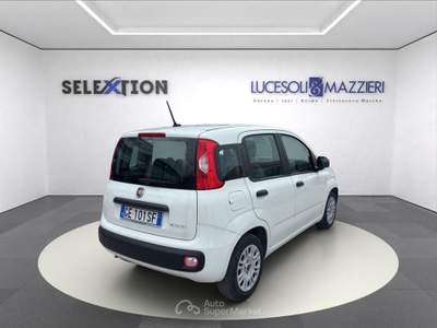 Fiat Panda  3ª serie -  1.0 firefly s&s hybrid Bianco usata Ancona