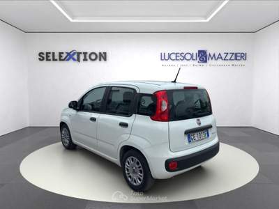 Fiat Panda  3ª serie -  1.0 firefly s&s hybrid Bianco usata Ancona