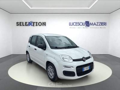 Fiat Panda  3ª serie -  1.0 firefly s&s hybrid Bianco usata Ancona