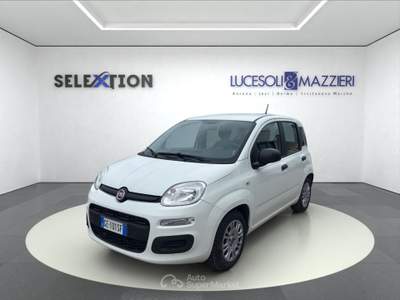 Fiat Panda  3ª serie -  1.0 firefly s&s hybrid Bianco usata Ancona