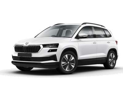 Skoda Karoq 2.0 TDI SELECTION DSG MY 26 Grigio usata Fisciano