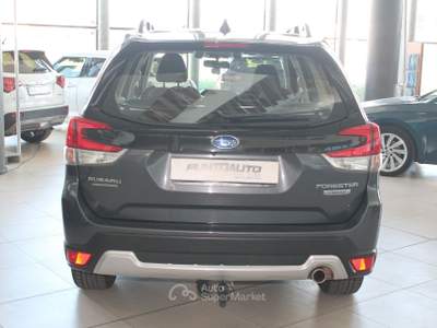 Subaru Forester 2.0 e-Boxer Free AWD Grigio usata Cuneo