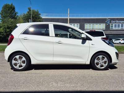 Kia Picanto 1.0 City Bianco usata Cento
