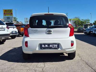 Kia Picanto 1.0 City Bianco usata Cento