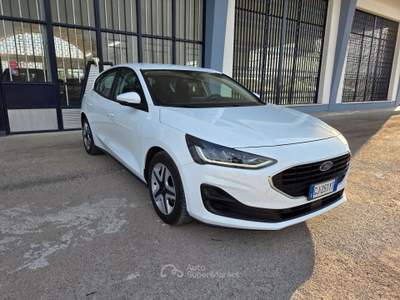 Ford Focus EcoBlue 120 CV 5p. Business Bianco usata CERIGNOLA