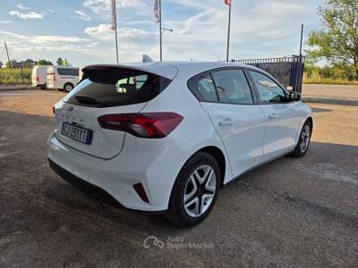 Ford Focus EcoBlue 120 CV 5p. Business Bianco usata CERIGNOLA