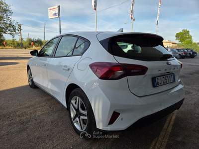Ford Focus EcoBlue 120 CV 5p. Business Bianco usata CERIGNOLA