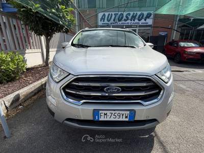 Ford EcoSport EcoSport  1.0 ecoboost Business 125cv automatica Argento usata Torino
