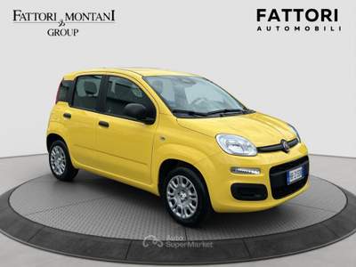 Fiat Panda FireFly S&S Hybrid Pandina Giallo usata Roma
