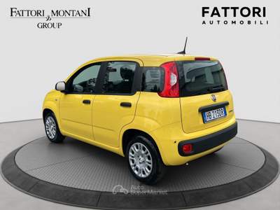 Fiat Panda FireFly S&S Hybrid Pandina Giallo usata Roma