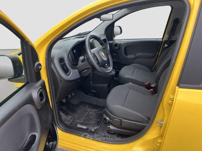 Fiat Panda FireFly S&S Hybrid Pandina Giallo usata Roma