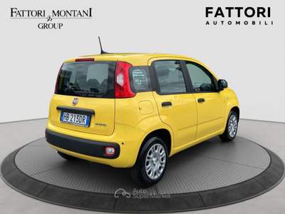 Fiat Panda FireFly S&S Hybrid Pandina Giallo usata Roma