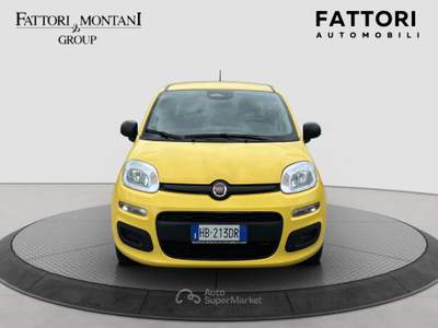 Fiat Panda FireFly S&S Hybrid Pandina Giallo usata Roma