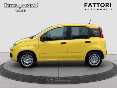 Fiat Panda FireFly S&S Hybrid Pandina Giallo usata Roma
