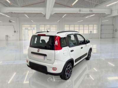 Fiat Panda 1.0 hybrid City Life s&s 70cv 5p.ti Bianco usata Parma