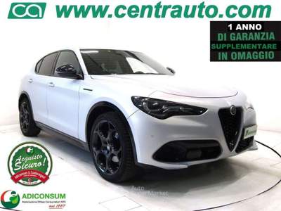 Alfa Romeo Stelvio 2.2 D AT8 Aut. Q4 Competizione * PELLE * 210CV Grigio usata Andalo Valtellino