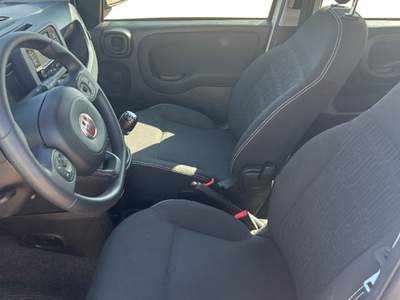 Fiat Panda my24 1.0 70cv hybrid panda Bianco usata Fisciano