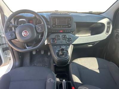 Fiat Panda my24 1.0 70cv hybrid panda Bianco usata Fisciano