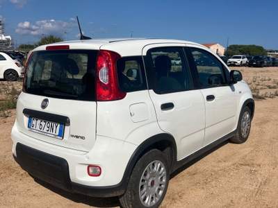 Fiat Panda my24 1.0 70cv hybrid panda Bianco usata Fisciano