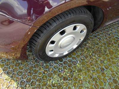 Fiat 500 TENUTA MOLTO BENE Rosso usata ARCO