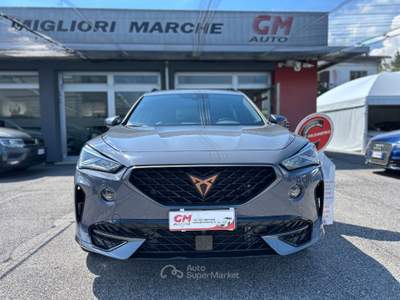 Cupra Formentor 2.0 tdi 4drive 150cv dsg Grigio usata NOALE