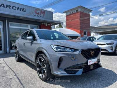 Cupra Formentor 2.0 tdi 4drive 150cv dsg Grigio usata NOALE