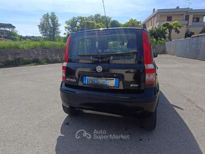 Fiat Panda Fiat Panda 1,2Metano 2009 Neopatentati usata Cetona