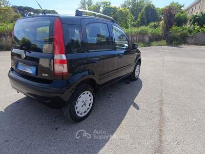 Fiat Panda Fiat Panda 1,2Metano 2009 Neopatentati usata Cetona