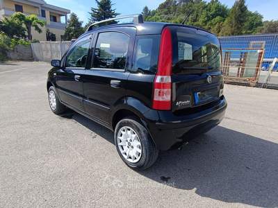 Fiat Panda Fiat Panda 1,2Metano 2009 Neopatentati usata Cetona