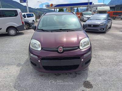 Fiat Panda Panda 1.2 Lounge 69cv Lilla usata Mezzocorona