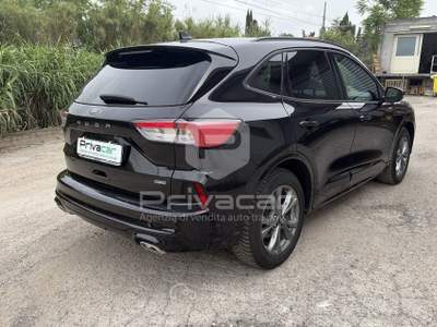 Ford Kuga FORD Kuga 2.5 Plug In Hybrid 225 CV CVT 2WD ST-Line Nero usata Montesilvano