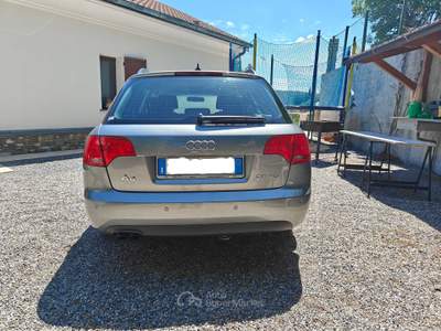 Audi A4 AUDI A4 2.0 TDI AVANT Argento usata ALASSIO