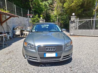 Audi A4 AUDI A4 2.0 TDI AVANT Argento usata ALASSIO