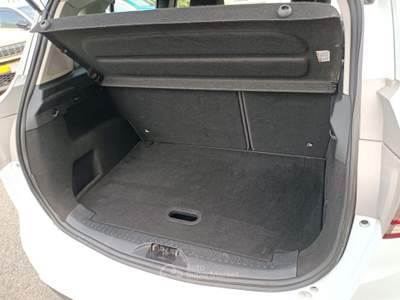 Ford B-Max Business Titanium Bianco usata Assisi
