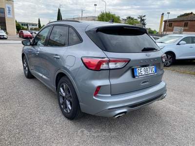 Ford Kuga 1.5 EcoBlue 120 CV 2WD ST-Line KM CERTIFICATI Grigio usata Sinalunga