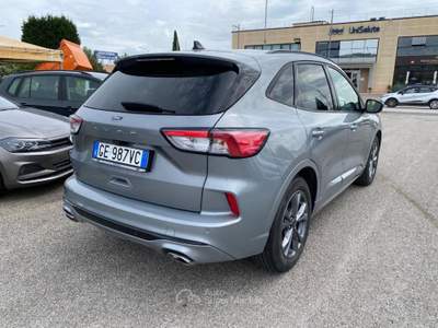 Ford Kuga 1.5 EcoBlue 120 CV 2WD ST-Line KM CERTIFICATI Grigio usata Sinalunga