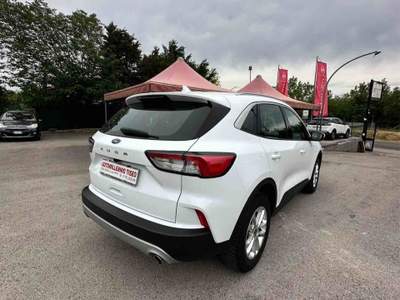 Ford Kuga EcoBlue 120 CV aut. 2WD Titanium Business Bianco usata Villa Santa Lucia