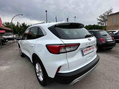 Ford Kuga EcoBlue 120 CV aut. 2WD Titanium Business Bianco usata Villa Santa Lucia