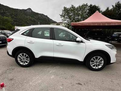 Ford Kuga EcoBlue 120 CV aut. 2WD Titanium Business Bianco usata Villa Santa Lucia