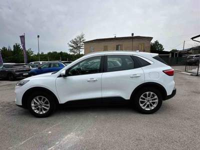Ford Kuga EcoBlue 120 CV aut. 2WD Titanium Business Bianco usata Villa Santa Lucia
