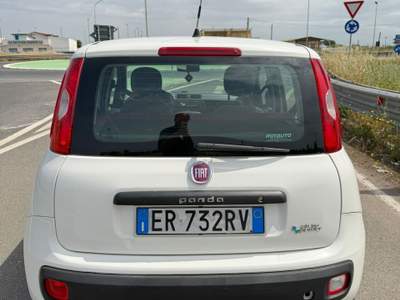 Fiat Panda FIAT PANDA NATURAL POWER 2013 244 MILA KM Bianco usata Mondragone
