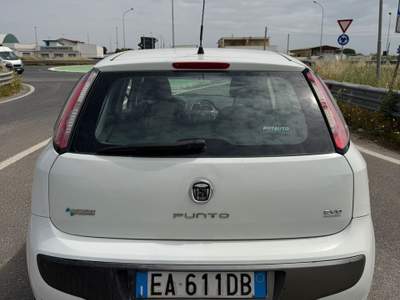 Fiat Punto Evo FIAT PUNTO EVO NATURAL POWER Bianco usata Mondragone
