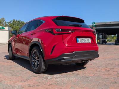 Lexus NX Uni proprietario pari al nuovo Rosso usata Ferrara