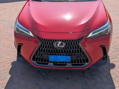 Lexus NX Uni proprietario pari al nuovo Rosso usata Ferrara