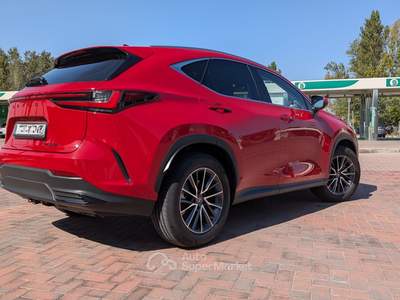 Lexus NX Uni proprietario pari al nuovo Rosso usata Ferrara