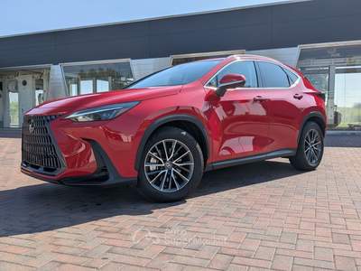Lexus NX Uni proprietario pari al nuovo Rosso usata Ferrara