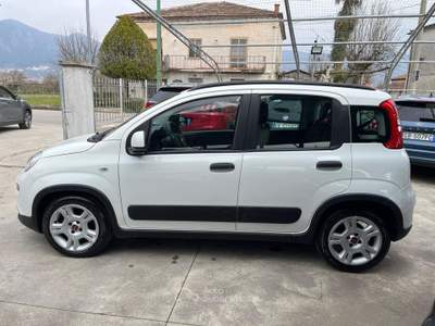 Fiat Panda Panda 1.0 Firefly Hybrid City Life Bianco usata Sassano