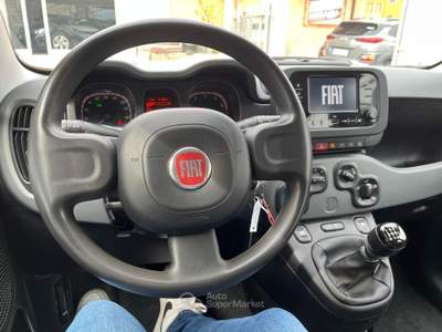 Fiat Panda Panda 1.0 Firefly Hybrid City Life Bianco usata Sassano