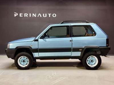 Fiat Panda 4X4 1.0 Blu/Azzurro usata Bassano del Grappa